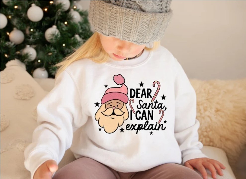 Dear Santa I Can Explain - Kids Youth Tshirt-SQ2145743