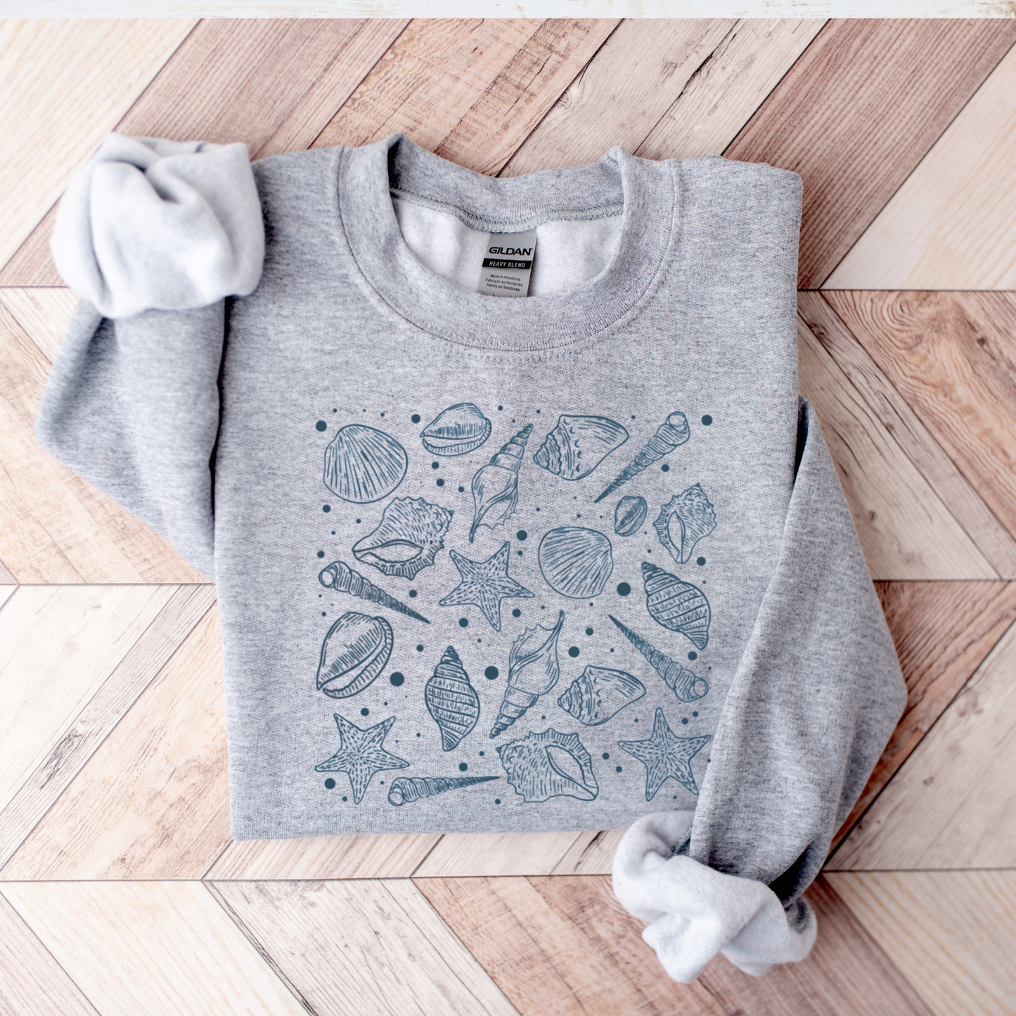 Sea Shells-SQ6098872