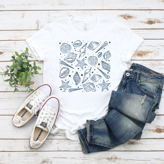 Sea Shells-SQ6098872